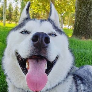 Meet your Posher, Riley